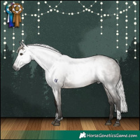 Horse Color:Gray Silver Bay Dun Tobiano Rabicano