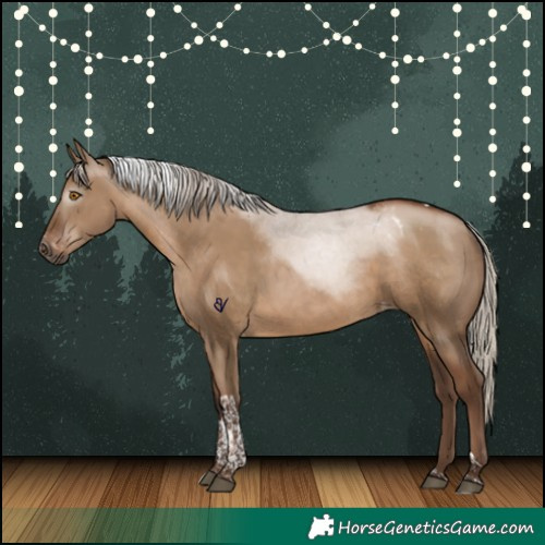 Horse Color:Gray Silver Grullo Pearl Tobiano Appaloosa Rabicano