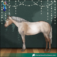 Horse Color:Gray Silver Grullo Pearl Tobiano Appaloosa Rabicano