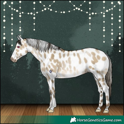 Horse Color:Gray Buckskin Pearl Dun Tobiano Skewed Appaloosa 
