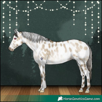 Horse Color:Gray Buckskin Pearl Dun Tobiano Skewed Appaloosa 
