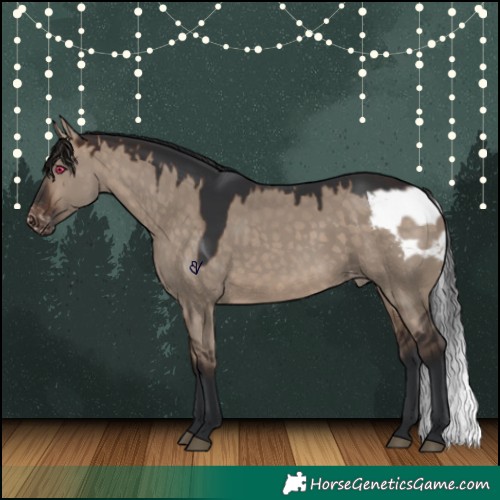 Horse Color:Brown Dun Skewed Appaloosa Rabicano 