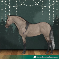 Horse Color:Brown Dun Skewed Appaloosa