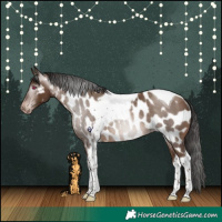 Horse Color:Gray Sable Champagne Tobiano Near Leopard Rabicano