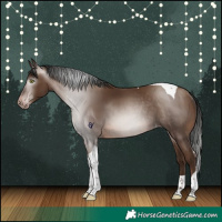 Horse Color:Gray Sable Champagne Tobiano Skewed Appaloosa Rabicano