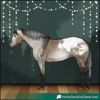 Horse Color:Gray Bay Dun Snowcap