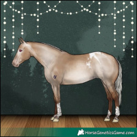 Horse Color:Gray Silver Amber Champagne Dun Tobiano Appaloosa Rabicano