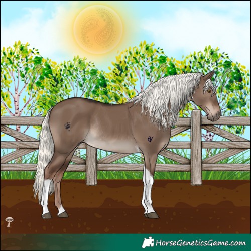 Horse Color:Liver Red Dun Mushroom Tobiano Rabicano 
