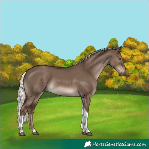 Horse Color:Liver Red Dun Mushroom Tobiano Rabicano 
