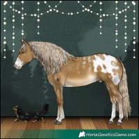 Horse Color:Powder White Chocolate Palomino Dun Mushroom Sabino Skewed Appaloosa