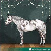 Horse Color:Powder White Gray Chocolate Silver Bay Skewed Appaloosa Rabicano