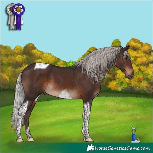 Horse Color:Silver Brown Tobiano 