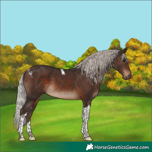 Horse Color:Silver Brown Tobiano 