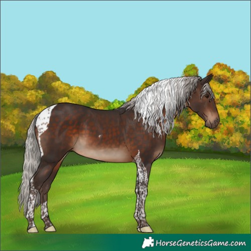 Horse Color:Silver Brown Tobiano 