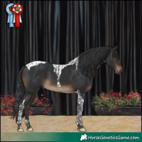 Horse Color:Brown Tobiano 