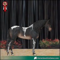 Horse Color:Brown Tobiano 