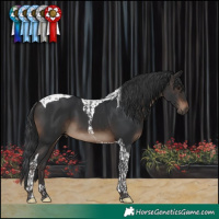 Horse Color:Brown Tobiano