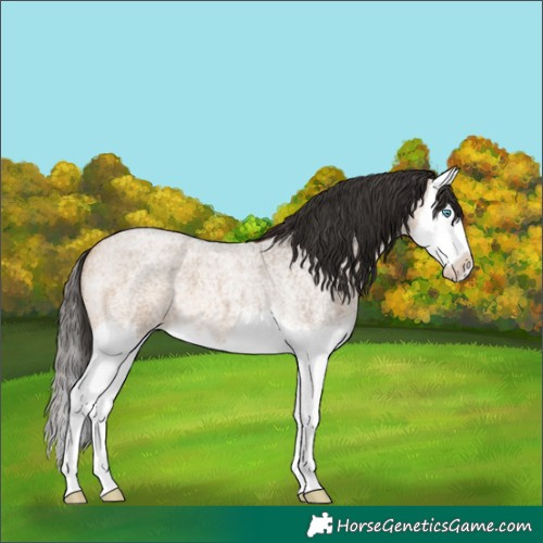 Horse Color:Bay Roan Dun Splash 