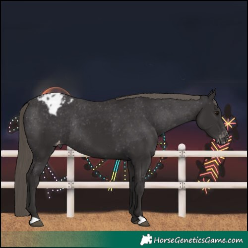 Horse Color:Smoky Black Varnish Rabicano 