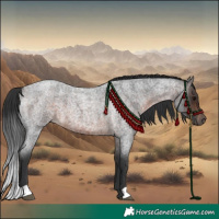 Horse Color:Brown Roan 