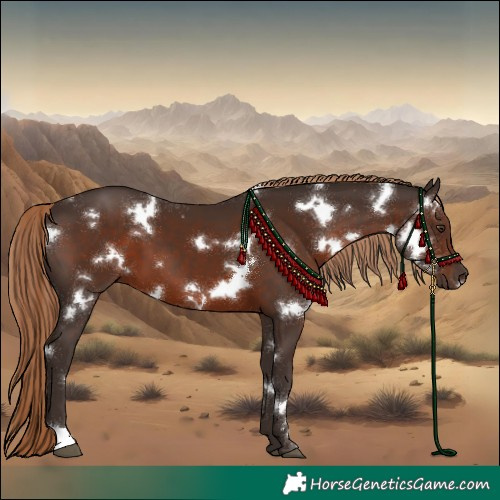 Horse Color:White Spotted Liver Chestnut 