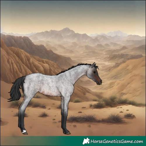 Horse Color:Brown Roan 