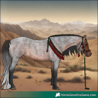 Horse Color:Bay Roan 
