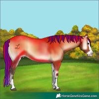 Horse Color:Painted Bay Onyx Splash 