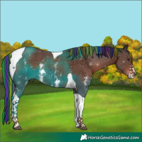 Horse Color:Painted Liver Chestnut Sabino Tobiano 