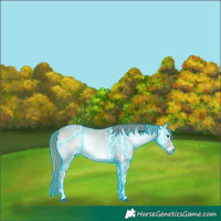 Horse Color:Void Platinum Thunderstruck Red Onyx Ice