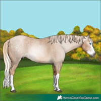 Horse Color:Gray Palomino Roan Pearl Splash