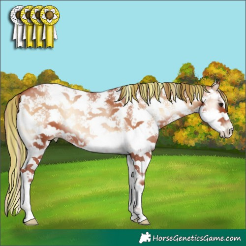 Horse Color:Painted Chocolate Brown Pearl Onyx Sabino 