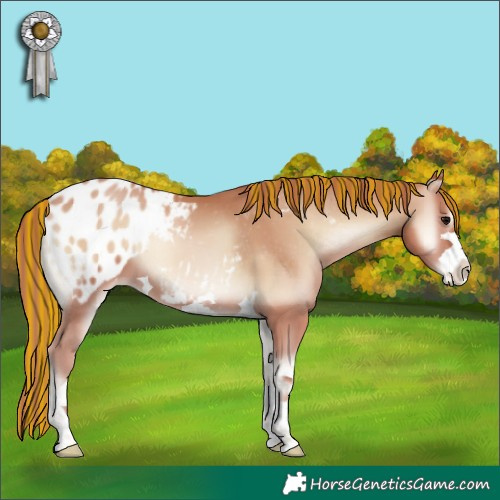 Horse Color:Painted Chocolate Blue Onyx Pearl Appaloosa 
