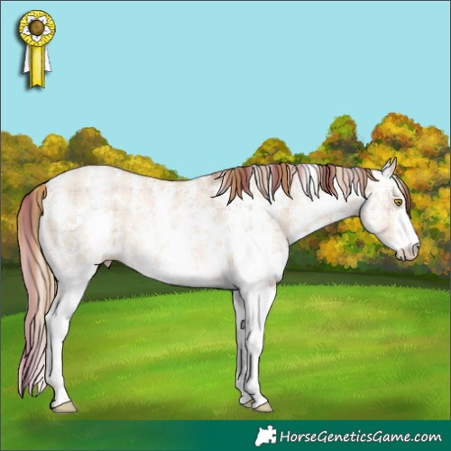 Horse Color:Plaid  Chocolate Brown Pearl Dun Sabino 