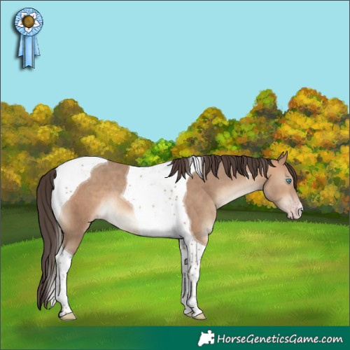 Horse Color:Sable Champagne Tobiano