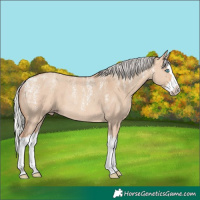 Horse Color:Powder White Silver Sable Champagne Dun Splash Rabicano