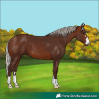 Horse Color:Silver Brown