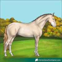 Horse Color:Buckskin Pearl Sabino Rabicano 