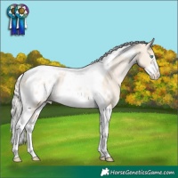 Horse Color:Cremello Tobiano Frame Near Leopard Rabicano 