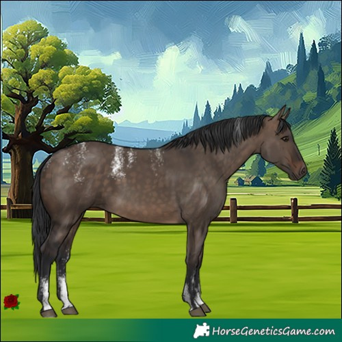 Horse Color:Powder White Brown Dun Rabicano