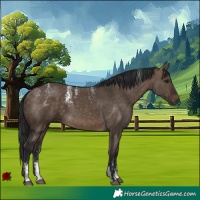 Horse Color:Powder White Brown Dun Rabicano