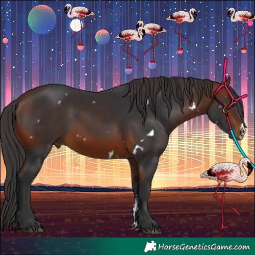 Horse Color:White Spotted Bay Sabino