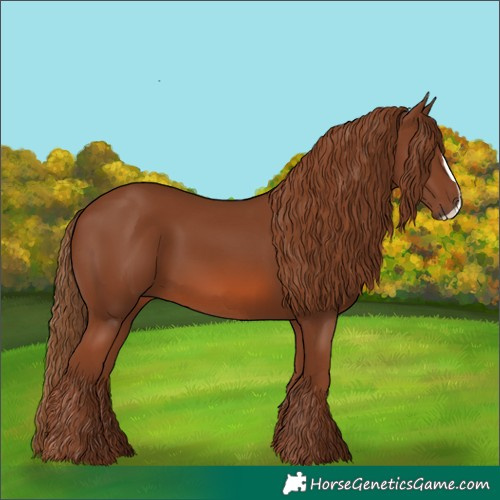 Horse Color:Chestnut Frame 