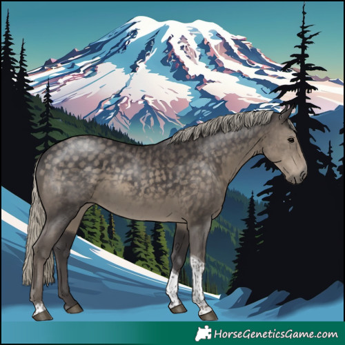 Horse Color:Silver Smoky Black Tobiano 