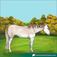 Horse Color:Brown Pearl Dun Mushroom Splash 