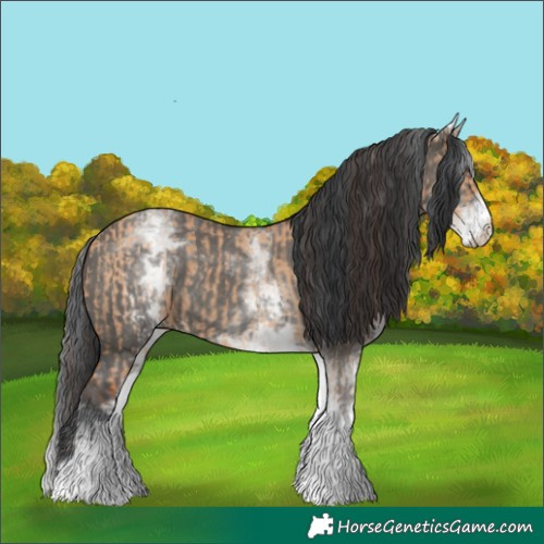 Horse Color:White Spotted Bay Dun Rabicano  and White Spotted Grullo Rabicano 