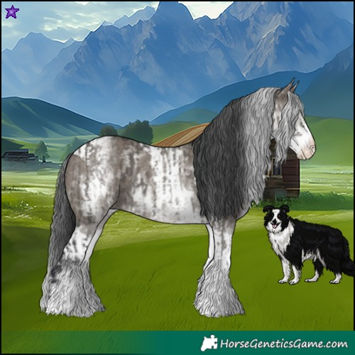 Horse Color:White Spotted Grullo Rabicano  and White Spotted Grullo Tobiano Rabicano 