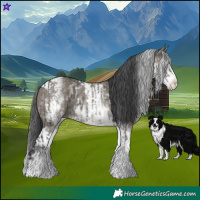 Horse Color:White Spotted Grullo Rabicano  and White Spotted Grullo Tobiano Rabicano 