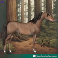 Horse Color:Liver Red Dun  and Liver Red Dun 