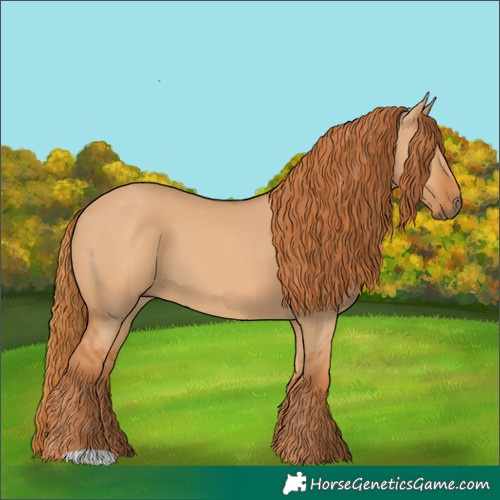 Horse Color:Red Dun 